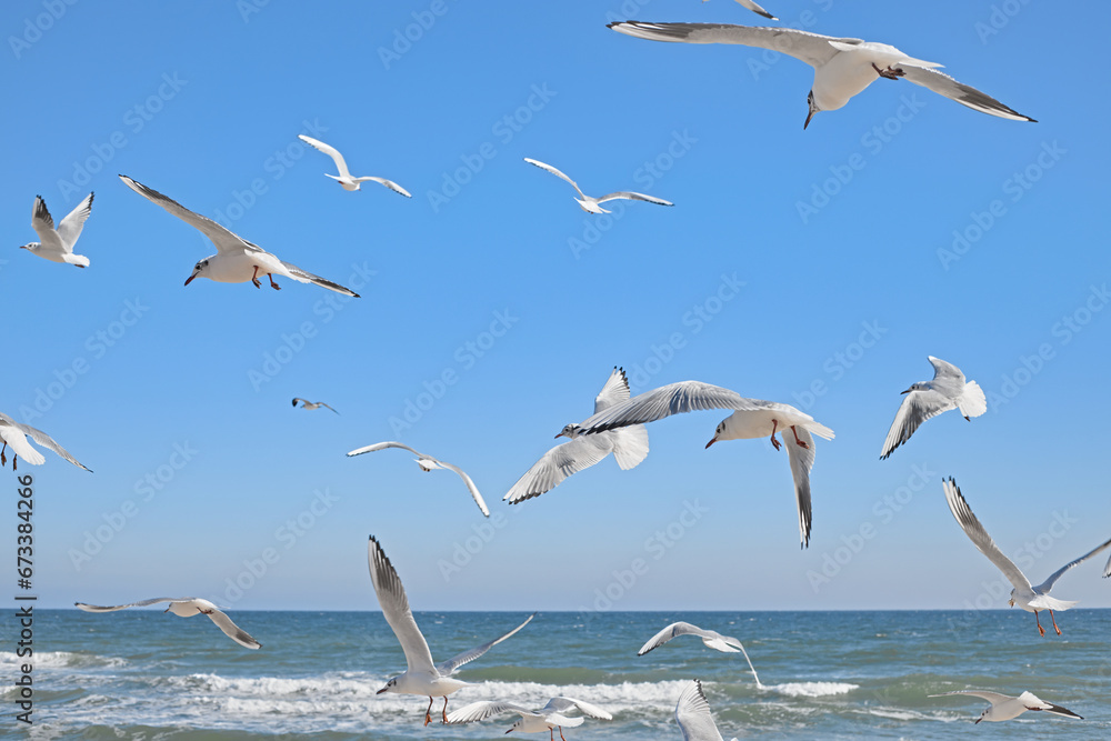 Seagulls flying over the sea, waves crashing on the shore, clear blue sky, sunny day