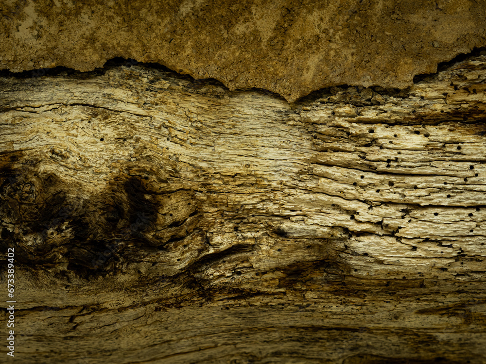 vieille poutre en bois usée par le temps avec nervures, fentes, trous d ...