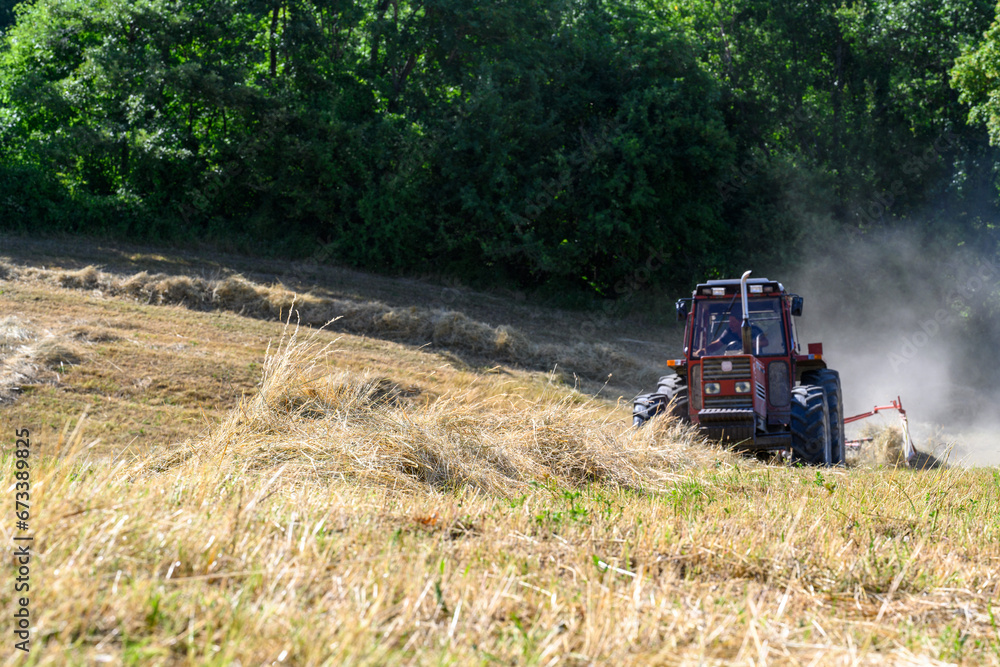 Obraz premium Trattore lavoro di fienagione