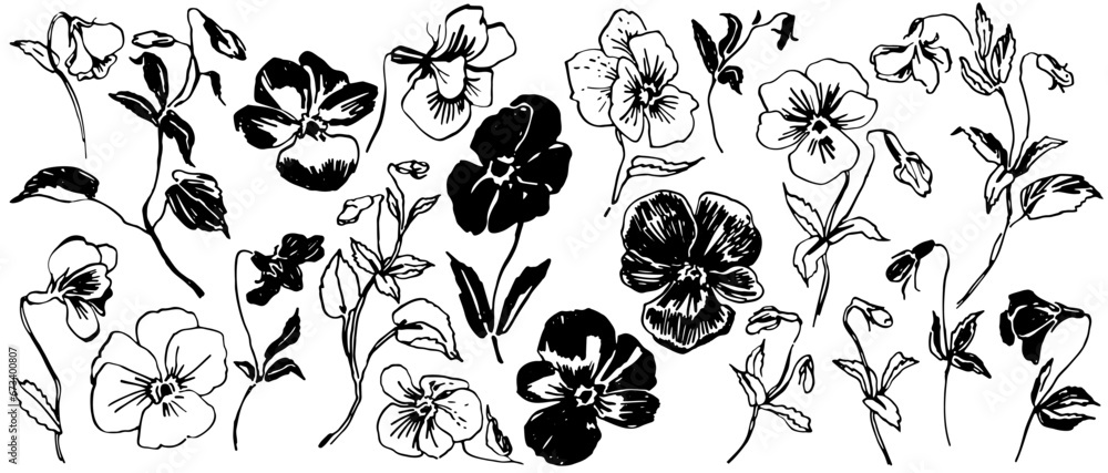 Hand drawn viola, pansy sketch. Outline black ink floral illustrations. Scribble flowers set. Bold artistic monochrome design. - obrazy, fototapety, plakaty 