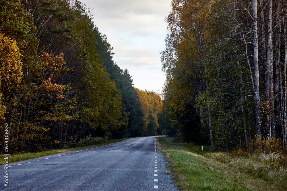 Fototapeta premium Road trough an uatumn forest, selective focus