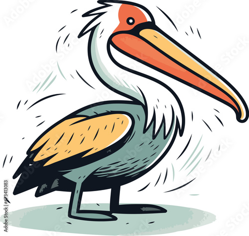 Pelican vector illustration. Hand drawn vector illustration of a pelican. photo