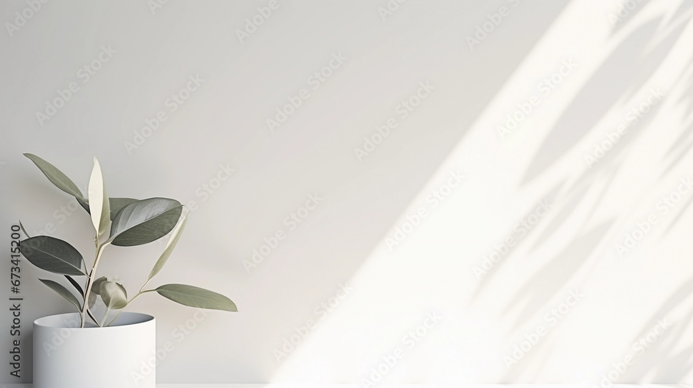 clean white background for product shots, plant in background, minimalist, room for text, perfect for product mockups and beauty clean white background for product shots, plant in background, minimalist, room for text, perfect for product mockups and beauty