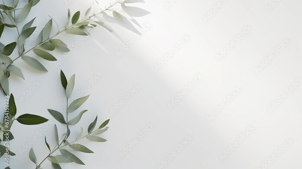 clean white background for product shots, plant in background, minimalist, room for text, perfect for product mockups and beauty clean white background for product shots, plant in background, minimalist, room for text, perfect for product mockups and beauty