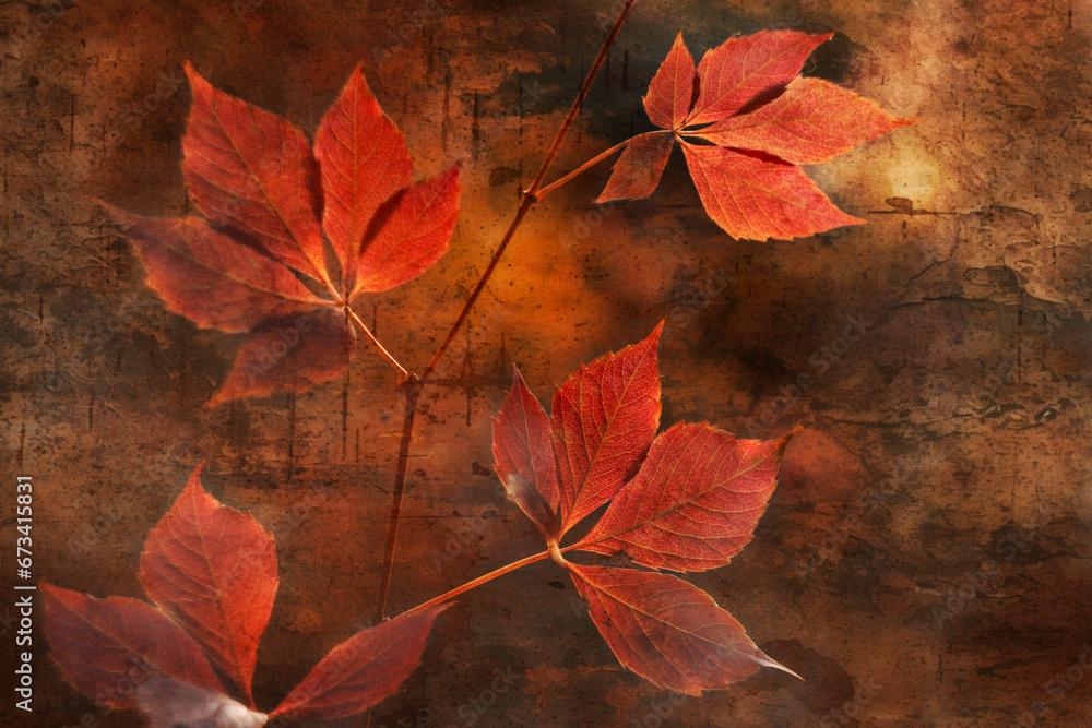 Jesienny pejzaż. Czerwone jesienne liście na drzewach - obrazy, fototapety, plakaty 