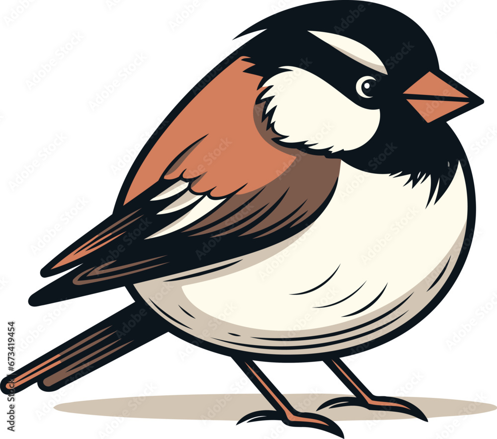 Bullfinch bird isolated on a white background. Vector illustration. Bullfinch bird isolated on a white background. Vector illustration.