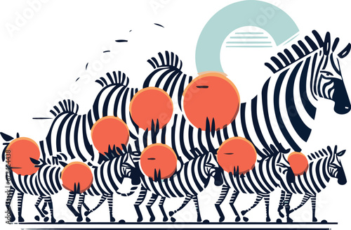 Zebra family. zebra family. vector illustration on white background
