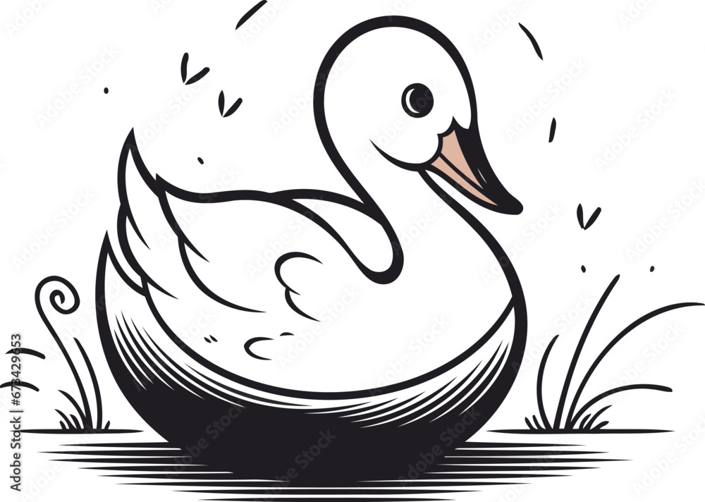 Vector illustration of a swan swimming in a pond. Isolated on white background. Vector illustration of a swan swimming in a pond. Isolated on white background.