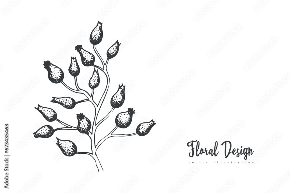 Collection of hand drawn spring flowers and plants. Monochrome vector illustrations in sketch style.
Collection of hand drawn spring flowers and plants. Monochrome vector illustrations in sketch style.