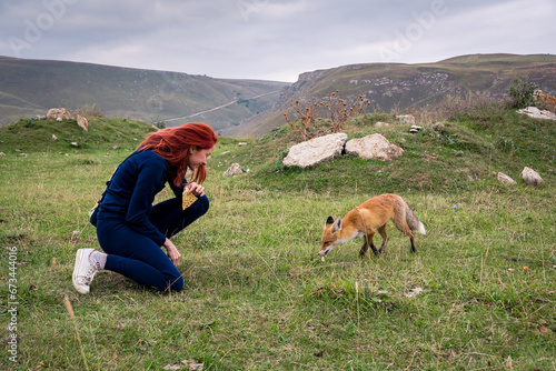 Red-haired girl looking interestingly at a wild fox which in near her in the meadow. Caucasus, Russia photo