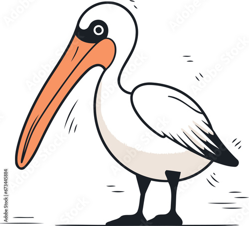 Pelican isolated on white background. Hand drawn vector illustration.