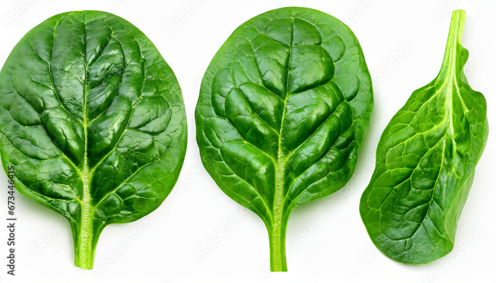 Fototapeta premium Spinach leaves isolated on white background. Fresh Spinach Macro. Top view. Flat lay.