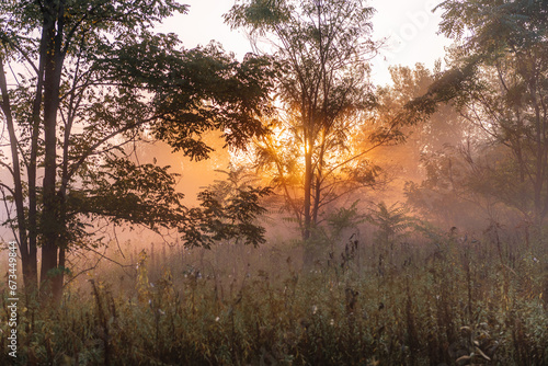 Misty sunrise lights early autumn morning in forest.