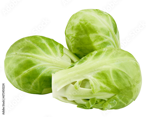 Brussel sprout isolated on white background, full depth of field