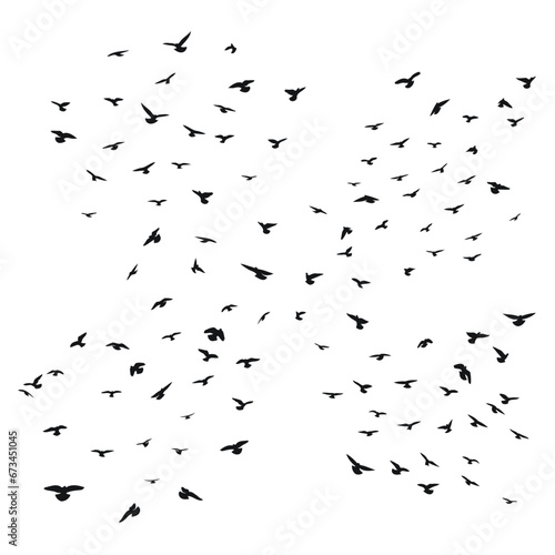 Canvas Print Sketch drawing of a silhouette of a flock of birds flying forward