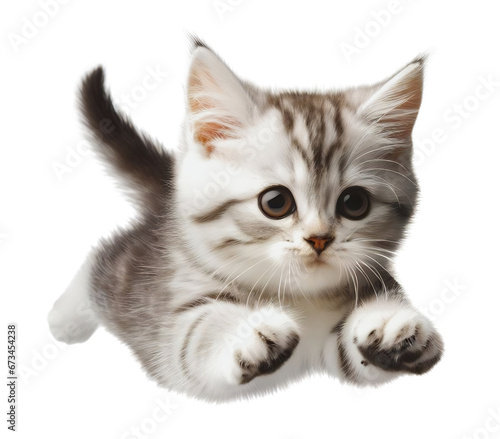 Jumping kitten, caught mid leap in the air, isolated on white background
