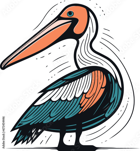 Pelican vector illustration. hand drawn sketch for your design.