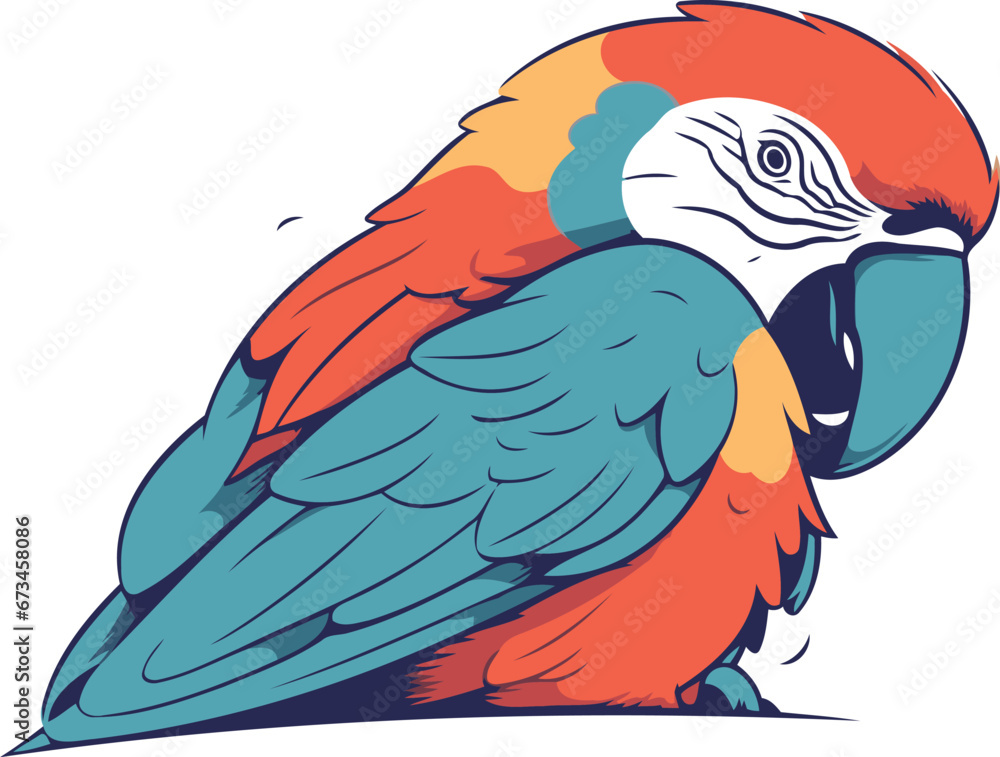Fototapeta premium Colorful macaw parrot isolated on white background. Vector illustration.