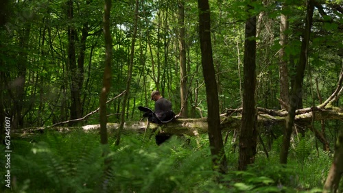 A man looking like he may be urinating in a forest