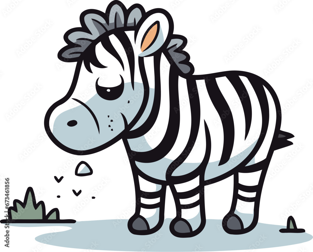 Zebra vector illustration. Isolated zebra on white background.