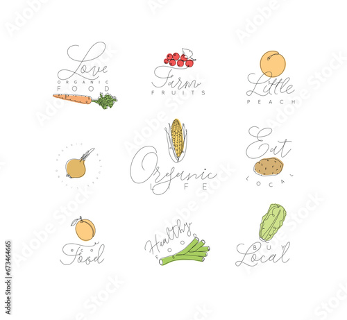 Obraz na płótnie Label fruits and vegetables carrot, currant, peach, onion, corn, potato, apricot, leek, lettuce with text drawing with color in linear style on white background w salonie