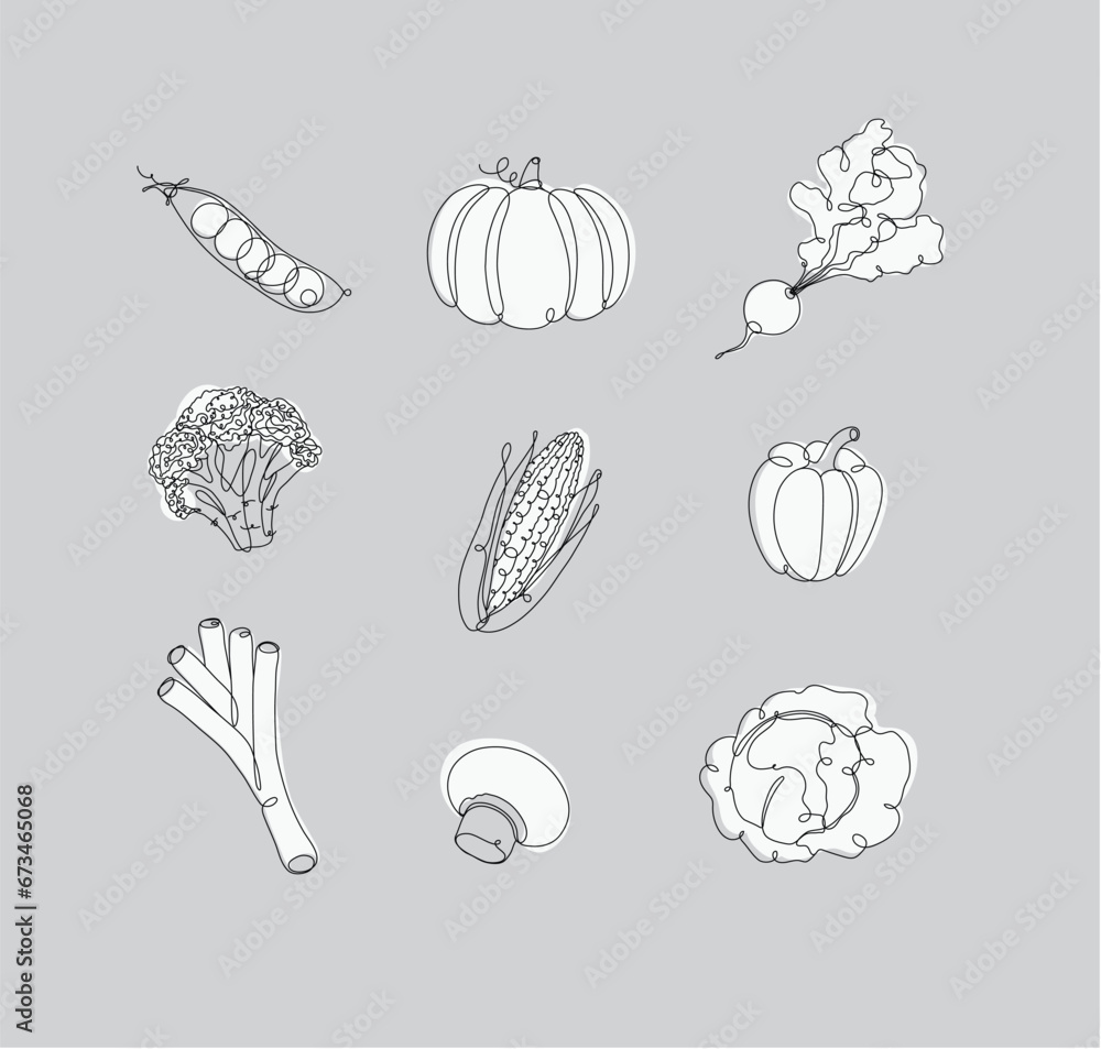 Vegetables icons peas, pumpkin, radish, broccoli, corn, pepper, leek, champignon, cabbage drawing in linear style on white background