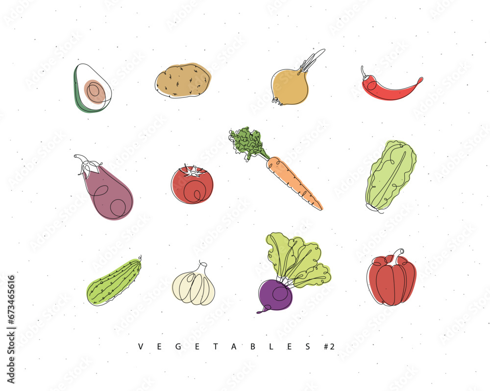 Vegetables icons avocado, potato, onion, chili, eggplant, tomato, carrot, lettuce, cucumber, garlic, beet, pepper drawing with color in linear style on white background