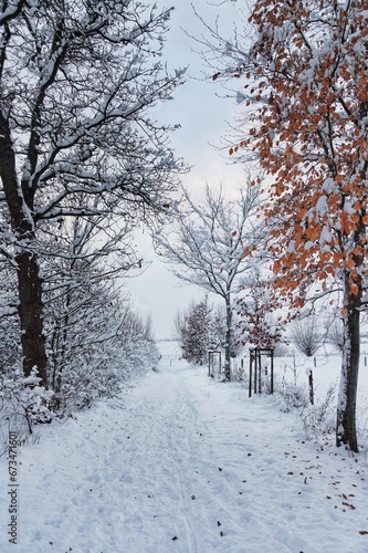 Schnee im Winter   Norddeutschland © franziskahoppe