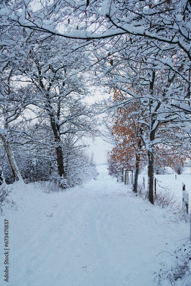 Schnee im Winter | Norddeutschland Schnee im Winter | Norddeutschland