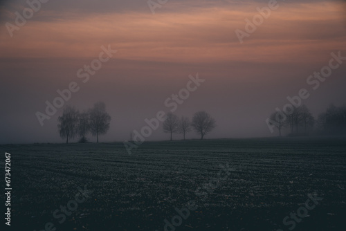 sunrise in the fog © Tobias