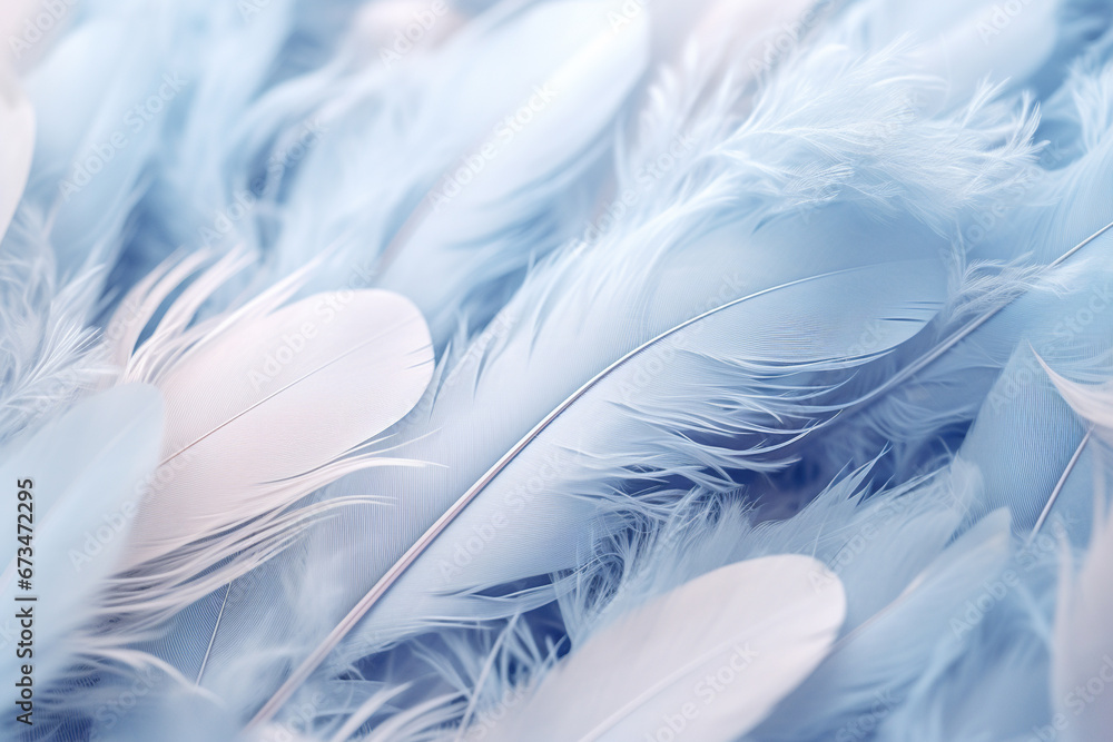 Background with blue feathers Background with blue feathers