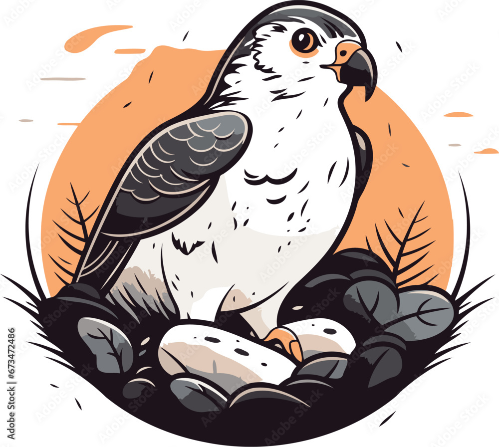 Peregrine falcon sitting on the nest. Vector illustration. Peregrine falcon sitting on the nest. Vector illustration.