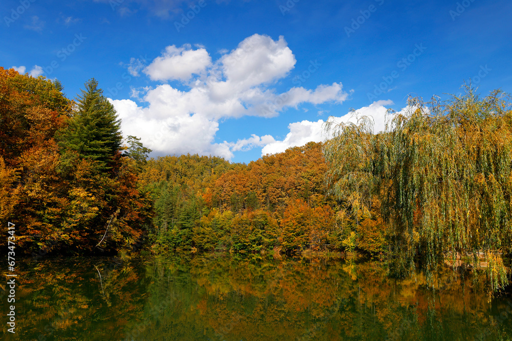 Beautiful autumn landscape by the Vida lake in Apuseni Mountains, Romania. Trees in colorful foliage and forested in the Occidental Carpathians reflecting in the water surface.