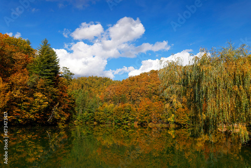 Beautiful autumn landscape by the Vida lake in Apuseni Mountains  Romania. Trees in colorful foliage and forested in the Occidental Carpathians reflecting in the water surface.