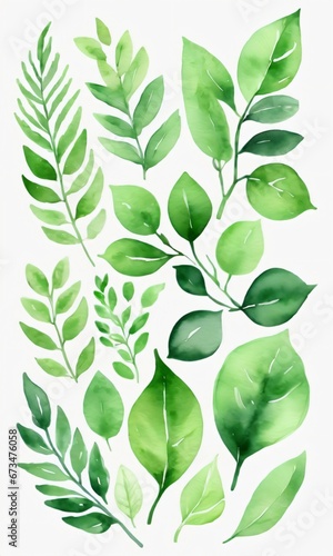 Green Watercolor Foliage.