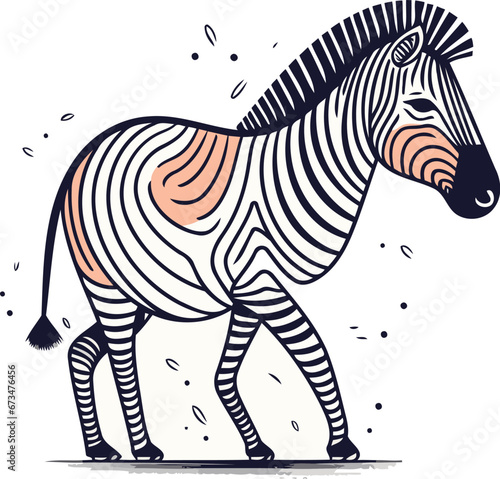 Zebra. Hand drawn vector illustration. Isolated on white background.