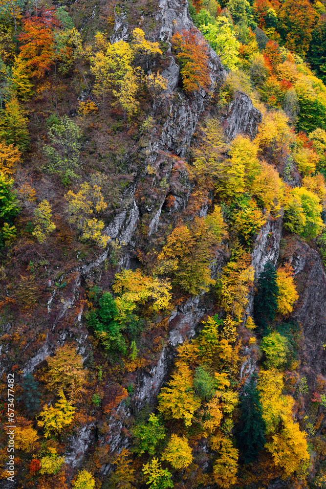 Autumn colours on Vadu Crisului, Romania, Europe. Beginning of autumn colours concept.