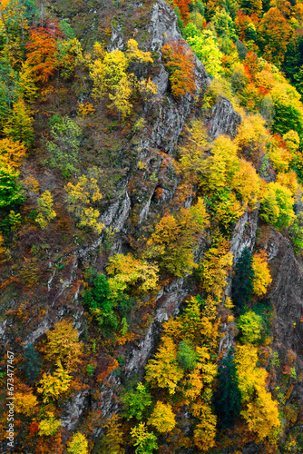 Autumn landscape near Vidraru Dam, Transfagarasan Road in the Transylvanian Alps, Romania, Europe