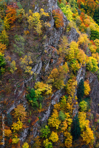 Autumn colours on Vadu Crisului, Romania, Europe. Beginning of autumn colours concept.