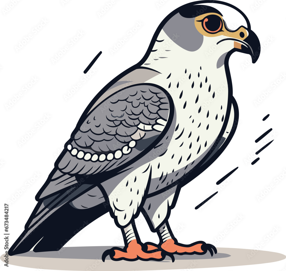 Fototapeta premium Peregrine falcon. Vector illustration of a bird.