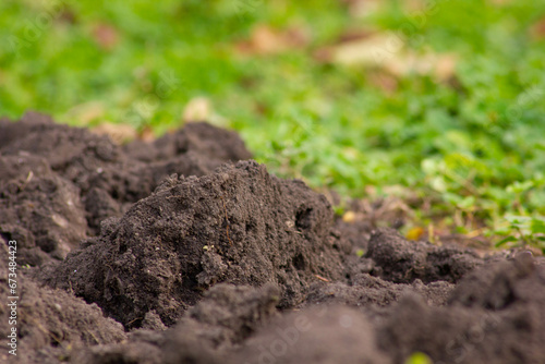 Closeup of field soil and plant roots with green bokeh background. Farming concept