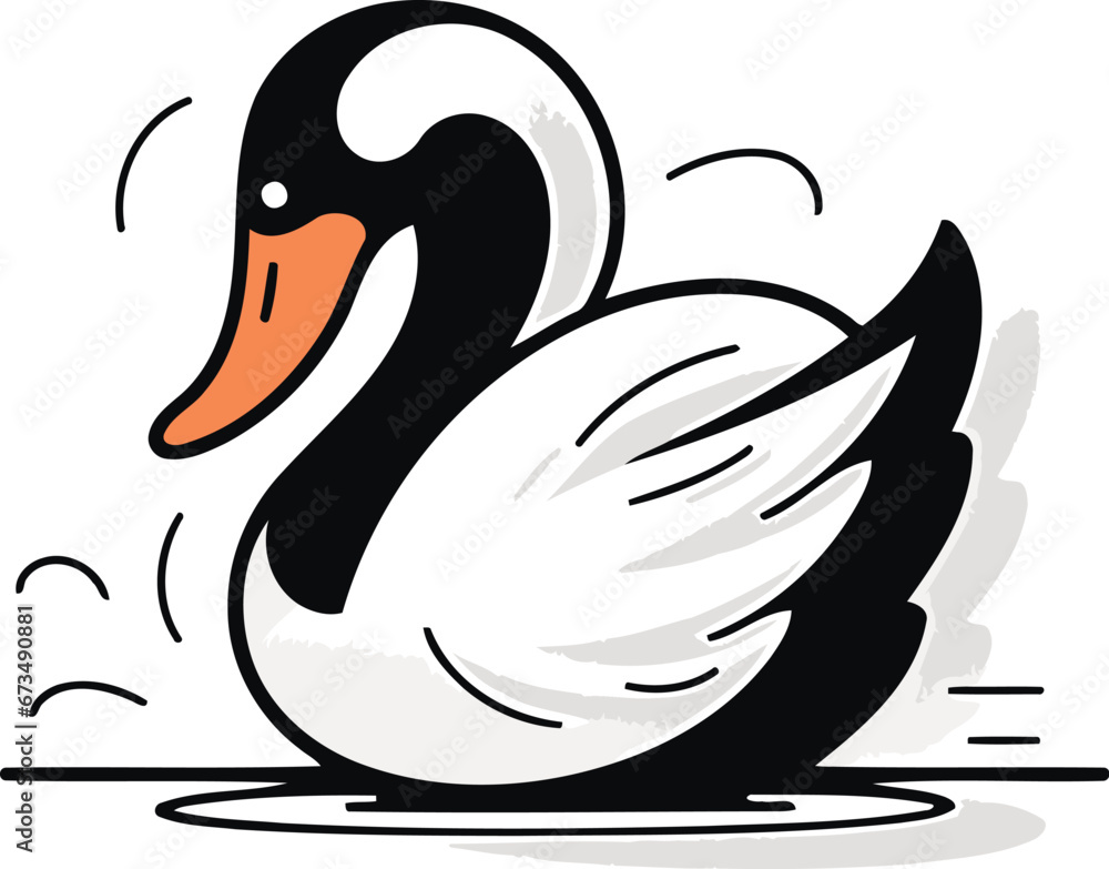 Vector illustration of a swan on a white background. Vector illustration. Vector illustration of a swan on a white background. Vector illustration.