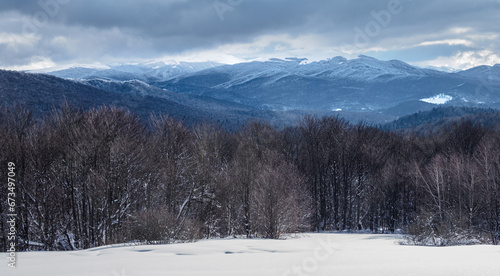 Snow-covered trees on mountain slopes.