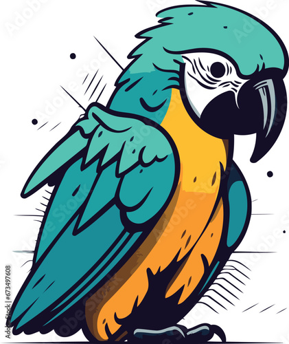 Parrot vector illustration. Isolated parrot on white background.