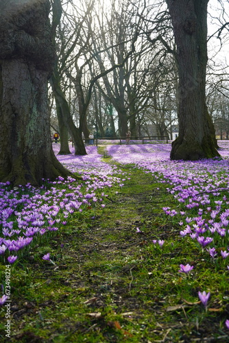 spring in the park husum