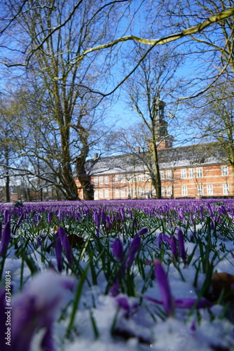 Wallpaper Mural spring in the park Torontodigital.ca