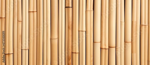 A backdrop or classic design featuring a unique arrangement of diagonal beige bamboo with a distinctive pattern
