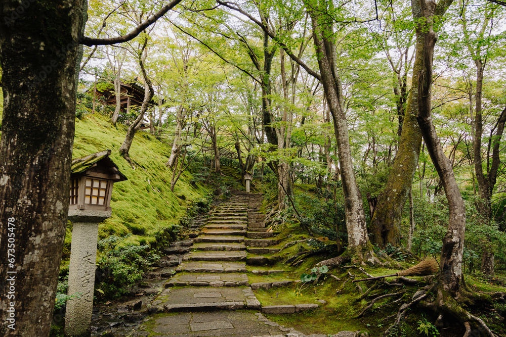 A walking path through lush, green nature at Jōjakkōji Temple in Arashiyama, Kyoto. A walking path through lush, green nature at Jōjakkōji Temple in Arashiyama, Kyoto.