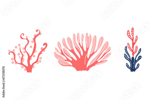 Oceanic flora and fauna for various nautical designs, for children's materials. Sea plants, water, flat style vector, pink and blue, isolated on white.