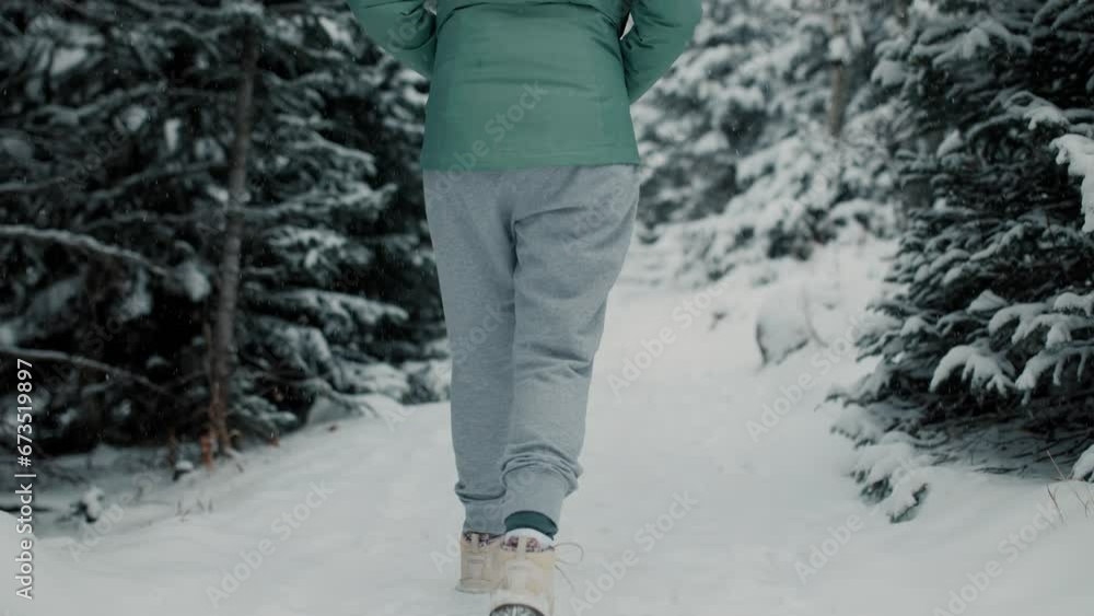 female hiker walking through the snowy woods female hiker walking through the snowy woods